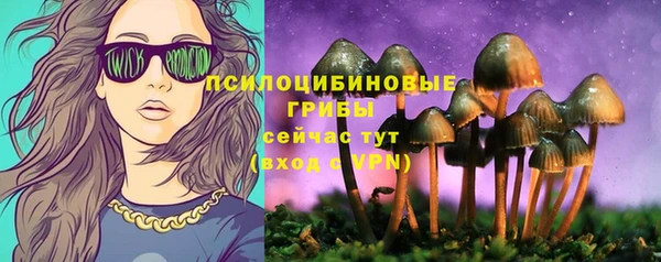бошки Арсеньев