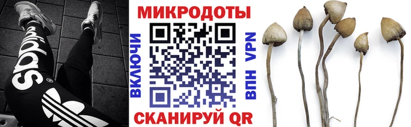 Галлюциногенные грибы прущие грибы  Талица 