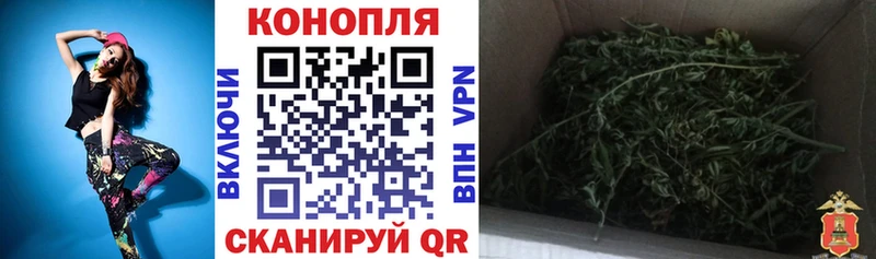 МЕГА ссылки  Талица  Шишки марихуана LSD WEED  где найти наркотики 